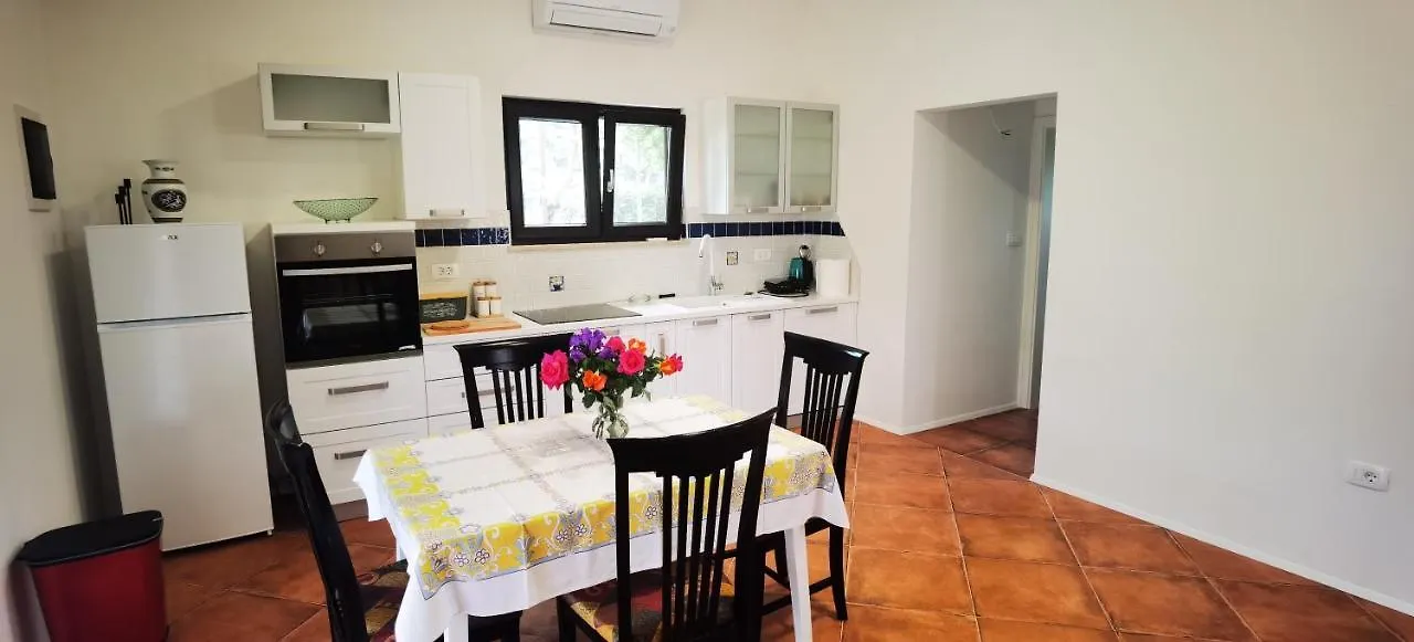 Holiday home Nora Home Novigrad  Croatia